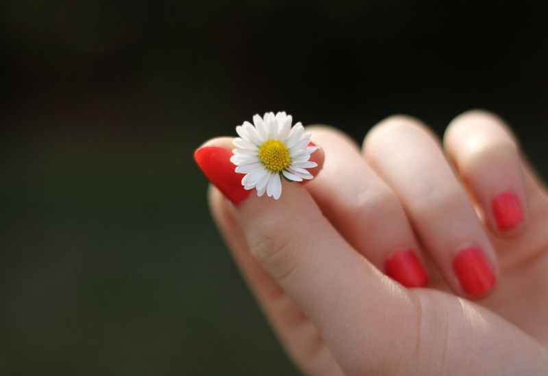 tipos de uñas