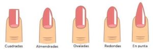tipos de uñas